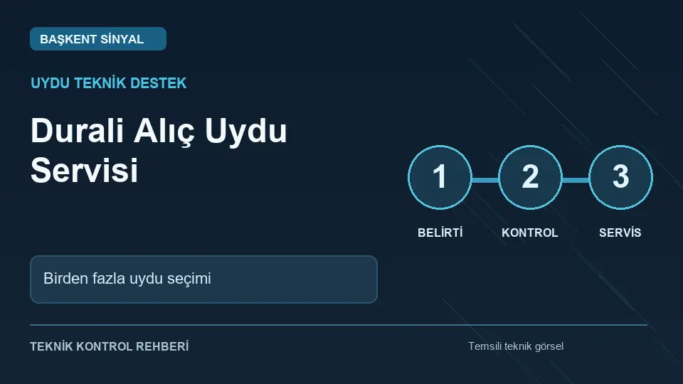 Durali Alıç uydu servisi: Birden fazla uydu seçimi için temsili teknik kontrol infografiği