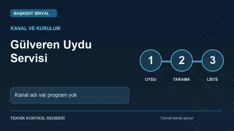 Gülveren uydu servisi: Kanal adı var program yok için temsili teknik kontrol infografiği
