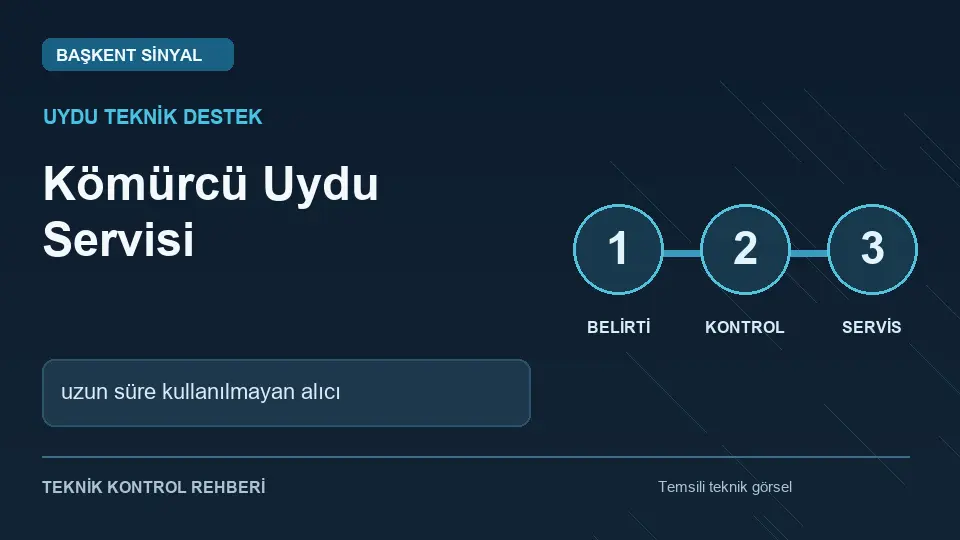 Kömürcü uydu servisi: uzun süre kullanılmayan alıcı için temsili teknik kontrol infografiği